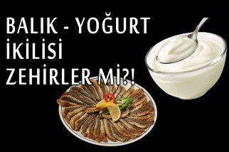 Balık – Yoğurt İkilisi Zehirler mi?