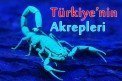 Türkiye’nin Akrepleri